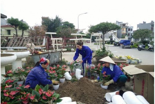 Thành phố Bắc Giang chỉnh trang đô thị đón xuân 2017